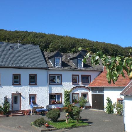 Ferienhof An Der Lay Kerpen  Zewnętrze zdjęcie