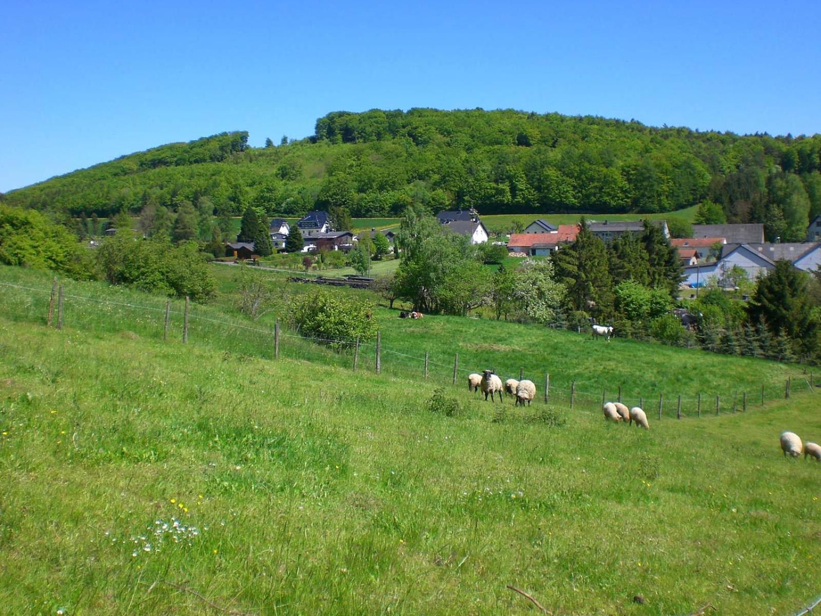 Ferienhof An Der Lay Kerpen  Zewnętrze zdjęcie
