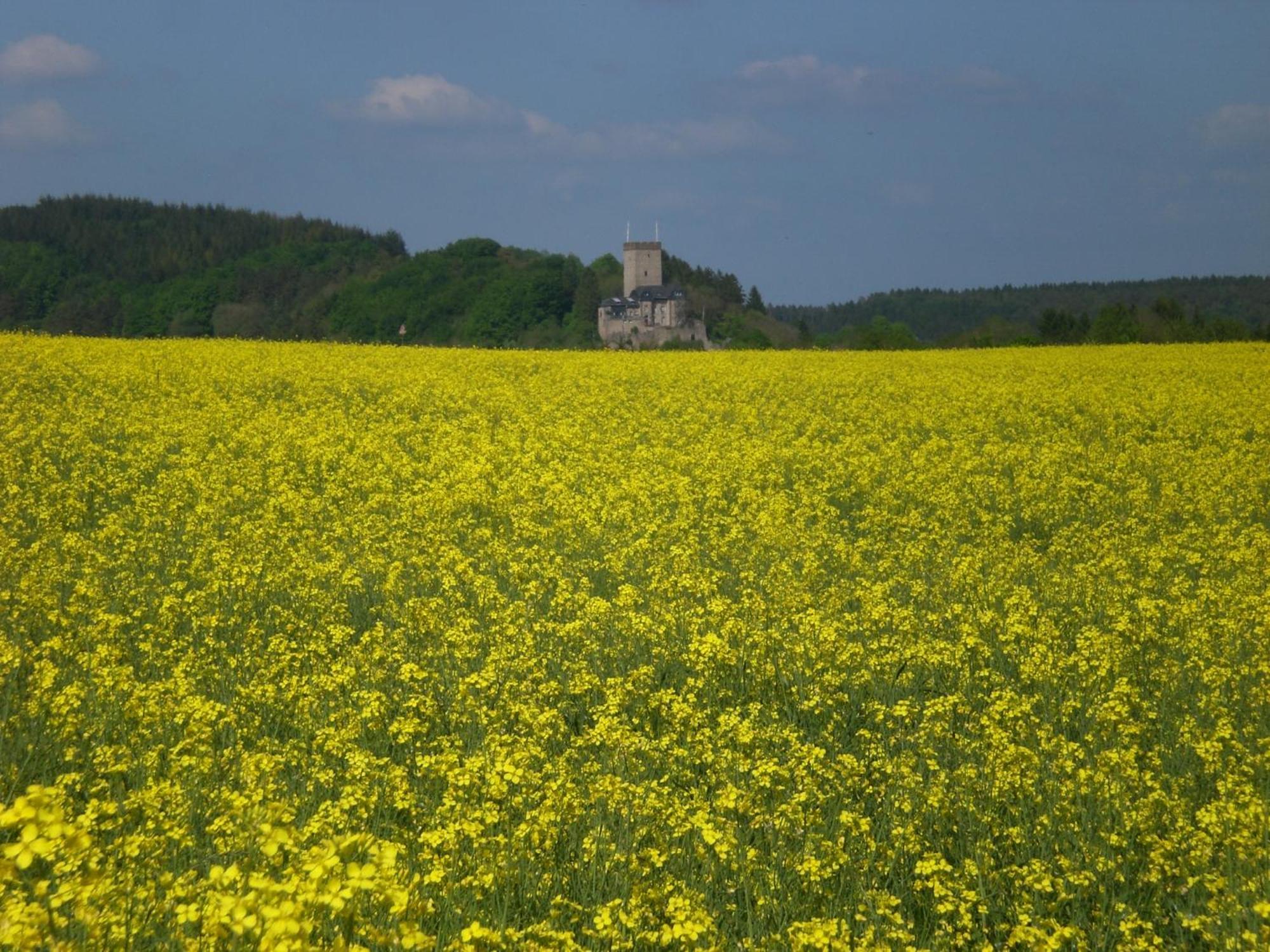 Ferienhof An Der Lay Kerpen  Zewnętrze zdjęcie