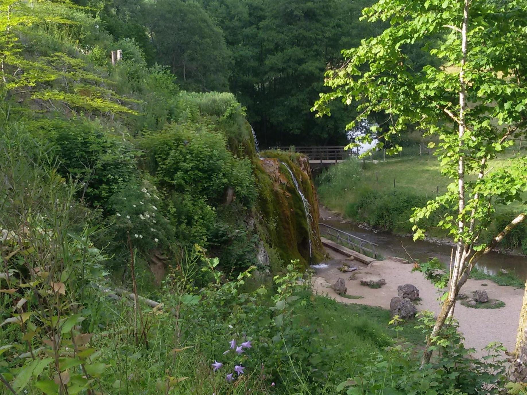 Ferienhof An Der Lay Kerpen  Zewnętrze zdjęcie