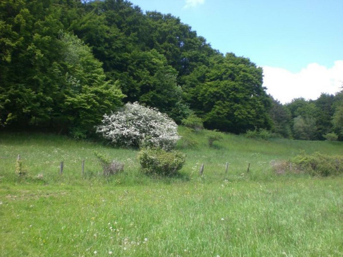 Ferienhof An Der Lay Kerpen  Zewnętrze zdjęcie