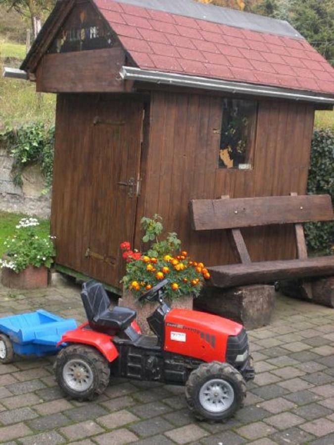 Ferienhof An Der Lay Kerpen  Zewnętrze zdjęcie